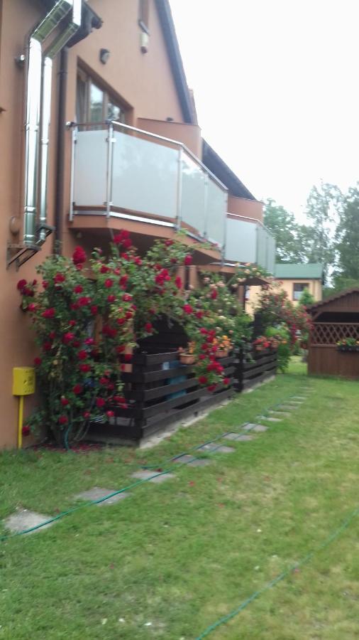Na Wiejskiej Mrzezyno Bagian luar foto